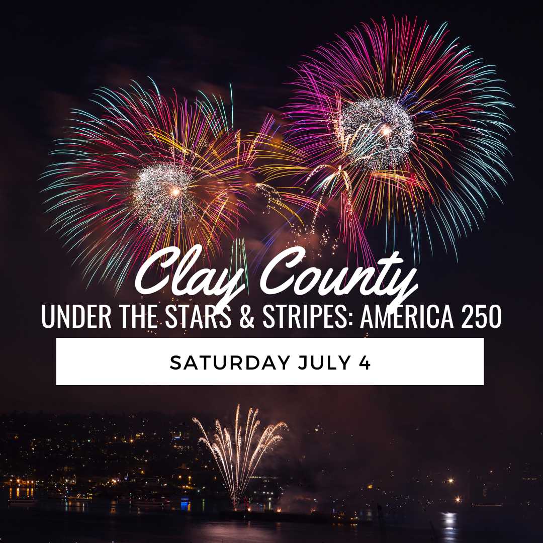 Fireworks Show (7) - Copy (3)